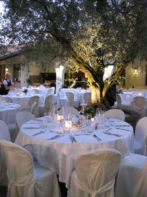 TRATTORIA AL BOSCO - foto paola 657