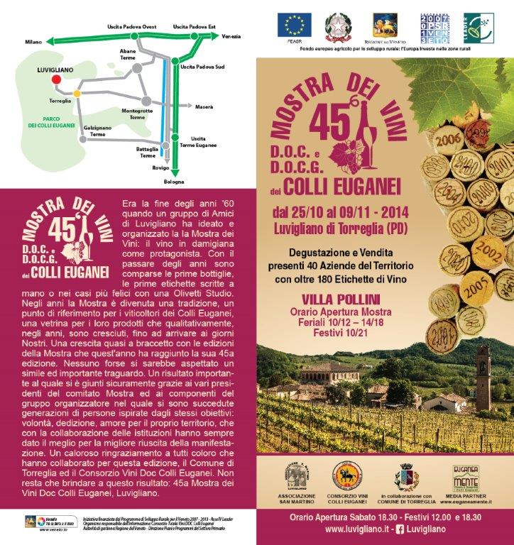 luvigliano2014
