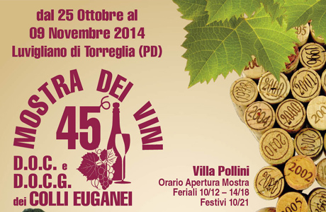 Mostra dei Vini di Luvigliano