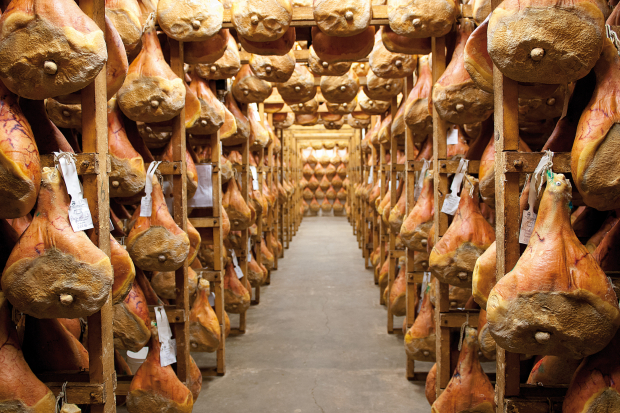 Prosciutto_dop_sito_sdv_2024 Prosciutto_dop_sito_sdv_2024