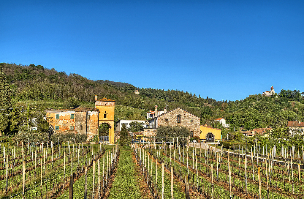 pasquetta 2016