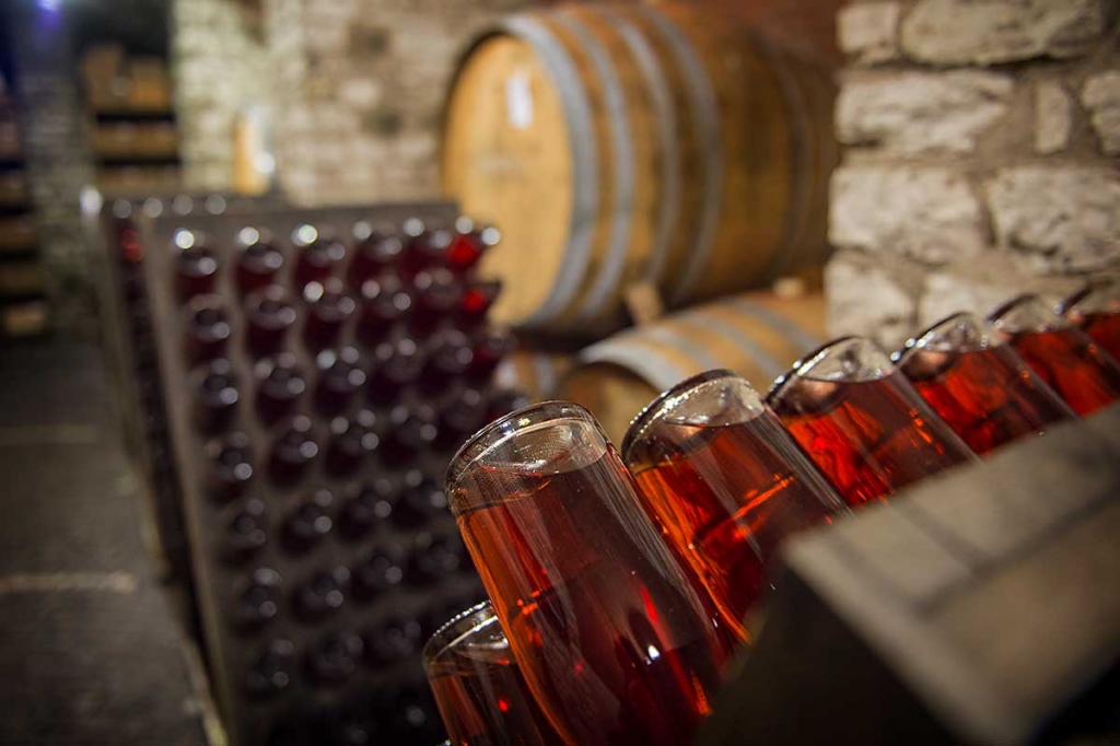 Novembre lugno la Strada del vino Colli Euganei. Degustazioni, esperienze, feste.